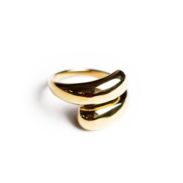 ANILLO GOLDEN ORBIT
