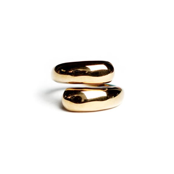 ANILLO GOLDEN ORBIT